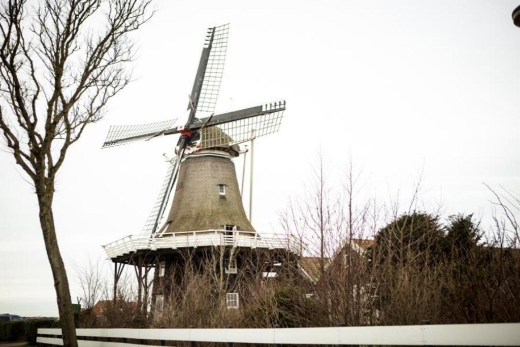 Weidevilla 14 Auf Ameland Hollum  Exterior foto